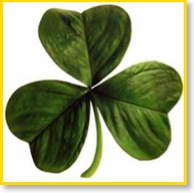 Mick's Restaurant and Lounge